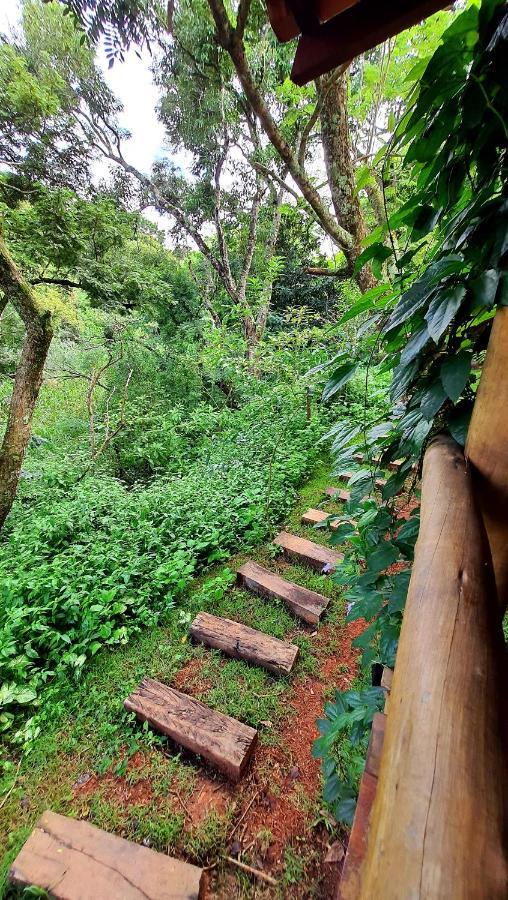 Sitio Belucci Bed & Breakfast Pinhalzinho  Exterior photo
